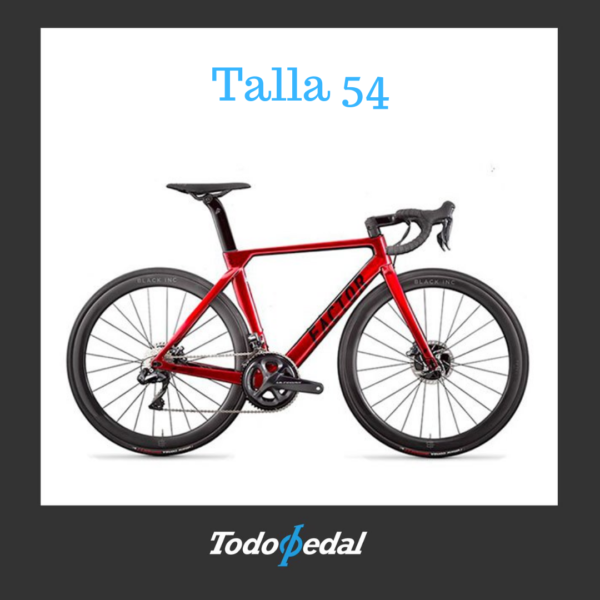 Factor ONE talla 54 año 2020 Talla M