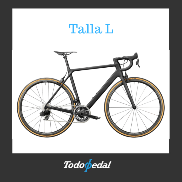 Canyon Ultimate CF Evo 10.0 SL 2020 Talla L