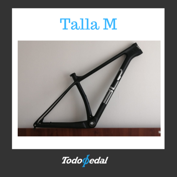 Cuadro BLR Talla M
