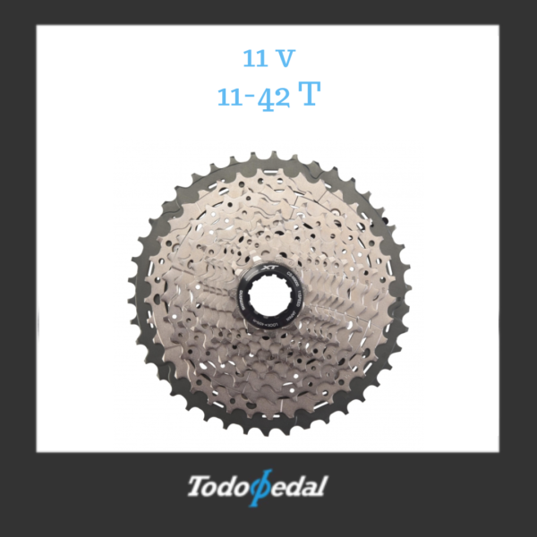 Piñon XT 11 velocidades