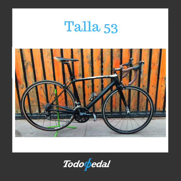 Schwinn Fastback Carbon Talla 53