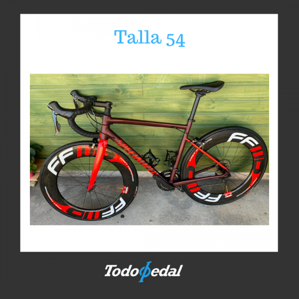 Specialized Allez 2020 Talla 54