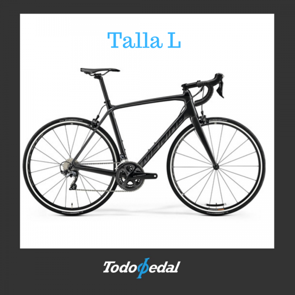 Merida Scultura 6000 Talla L