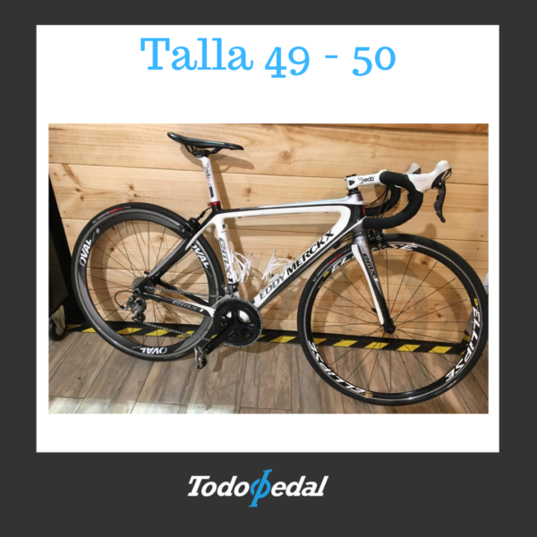 Eddy Merck x Talla 49 - 50