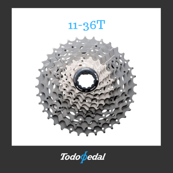 Piñon XTR 11-36T