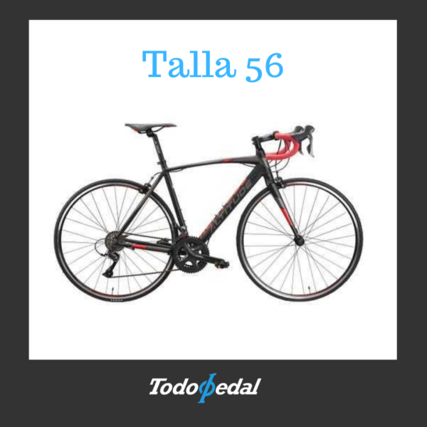 Altitud Nekul Talla 56