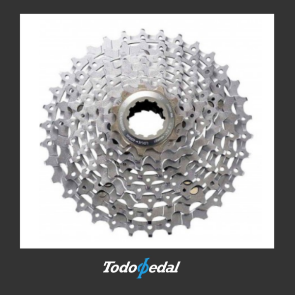 Piñon XT 9 velocidades
