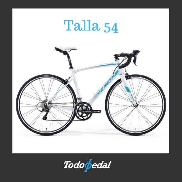 Merida Ride 100 Talla 54