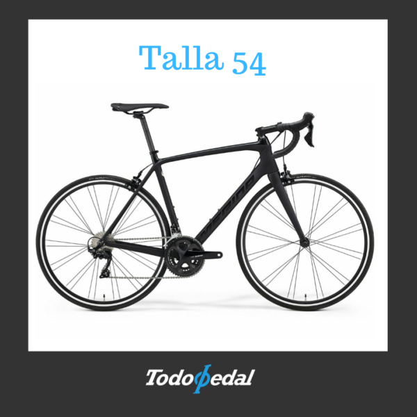Merida Scultura 4000 Talla 54