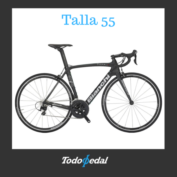 Bianchi Oltre XR1 Talla 55