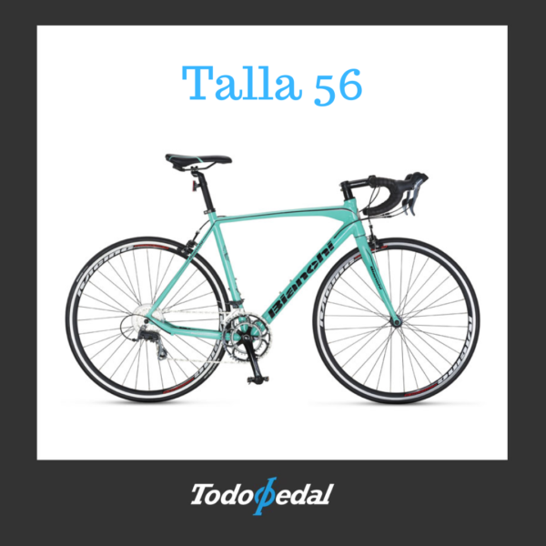 Bianchi corsa ss talla 56