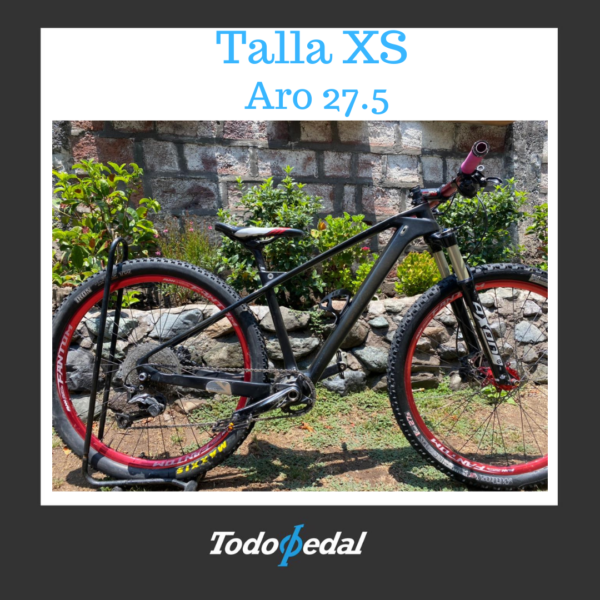 Bicicleta Carbono talla XS