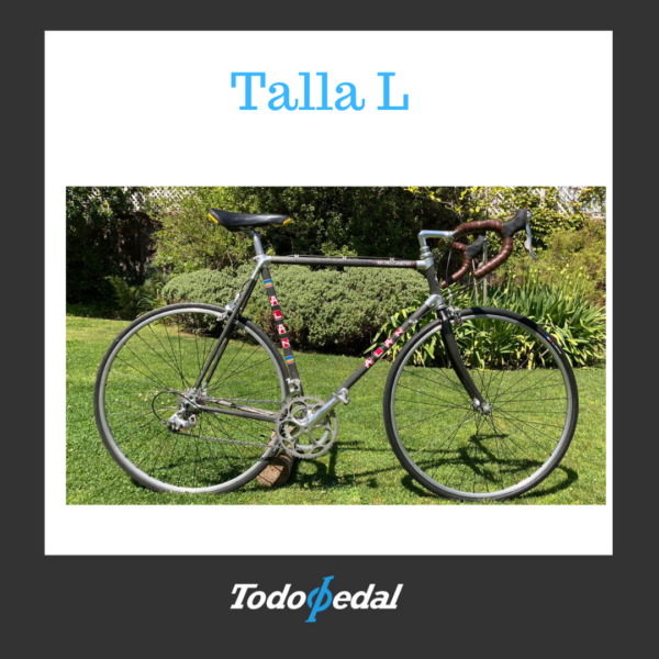 Bicicleta Alan Talla L