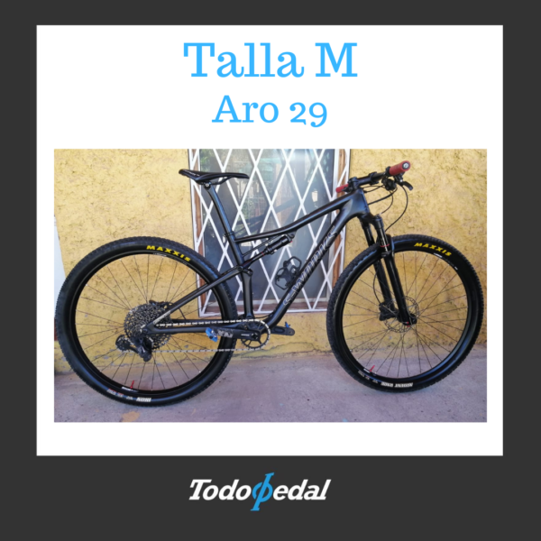 Specialized Epic Sworks Talla M 2020