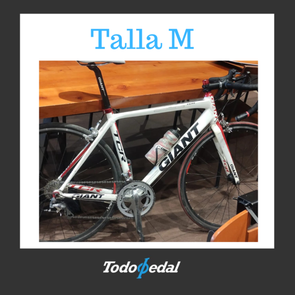 Giant TCR Talla M