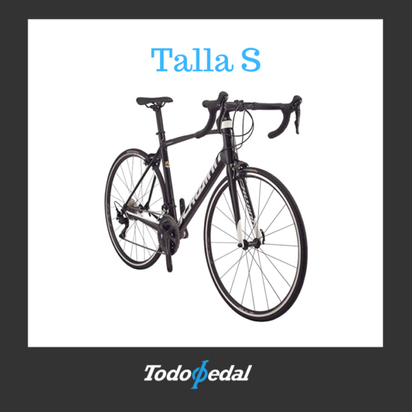 Schwinn Fastback Talla S