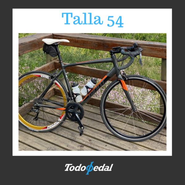Giant Contend Talla 54