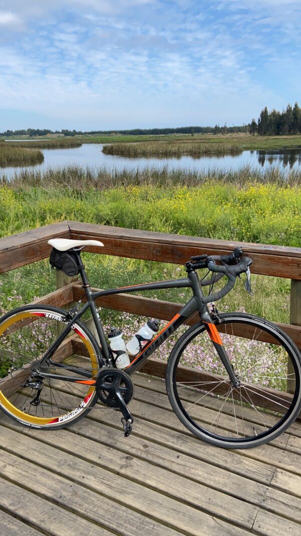 Giant Contend Talla 54 - Image 2