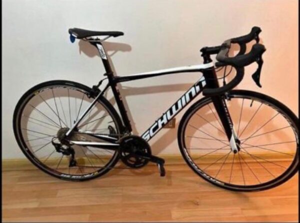 Schwinn Fastback Talla S - Image 2