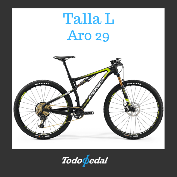Merida Ninety Team Talla L