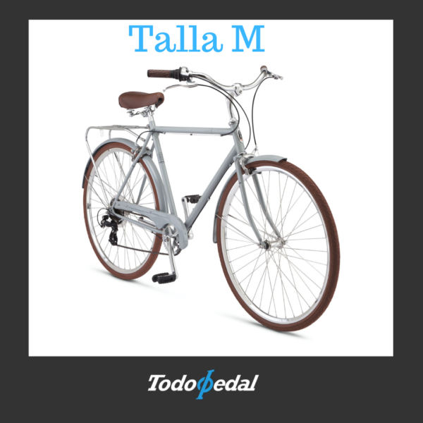 Traveler M 700 Schwinn + portabicicleta Buzzrack