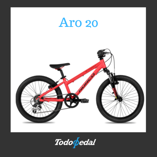 Norco storm 2.2 Aro 20