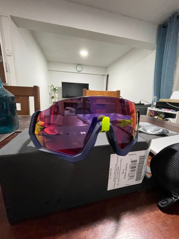 Oakley Flight Jacket - Image 4