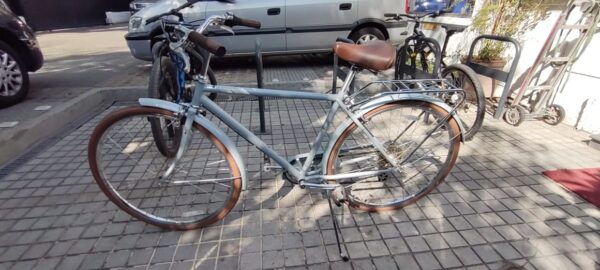 Traveler M 700 Schwinn + portabicicleta Buzzrack - Image 5