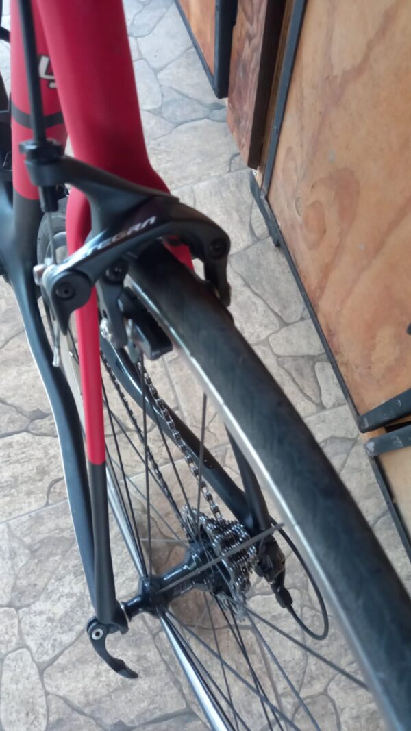 Litespeed Carbono Talla M - Image 8