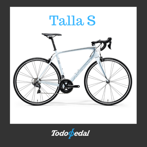 Merida Scultura 5000 Talla S