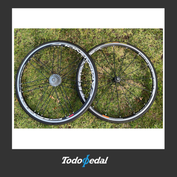Ruedas Campagnolo Shamal tubulares