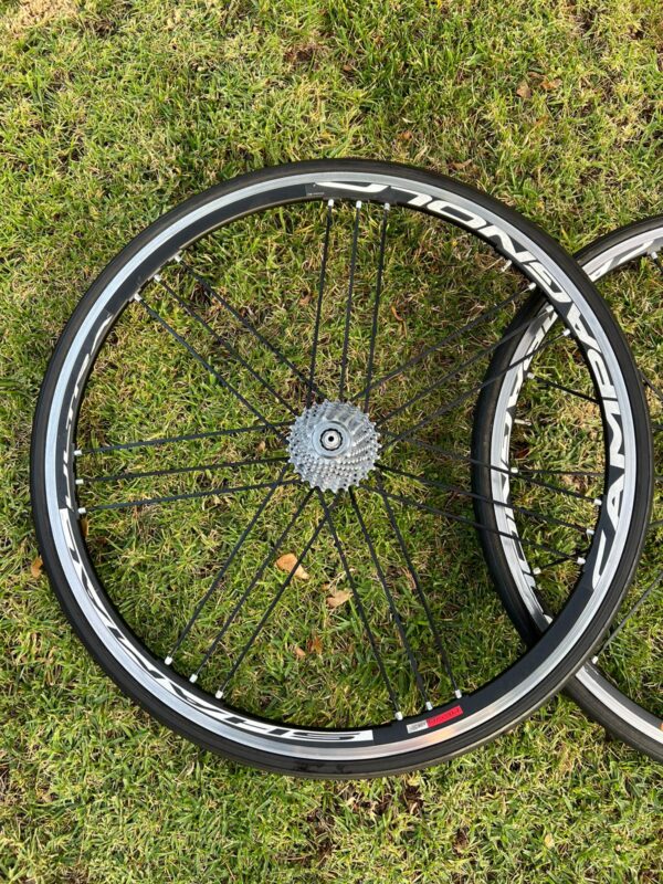 Ruedas Campagnolo Shamal tubulares - Image 8
