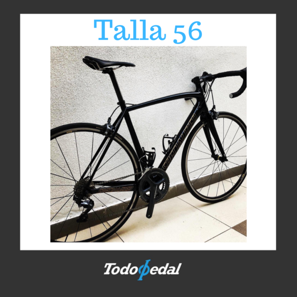 Specialized Tarmac SL05 Edición Peter Sagan Talla 56
