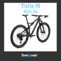 Specialized Epic Carbon Expert Talla M