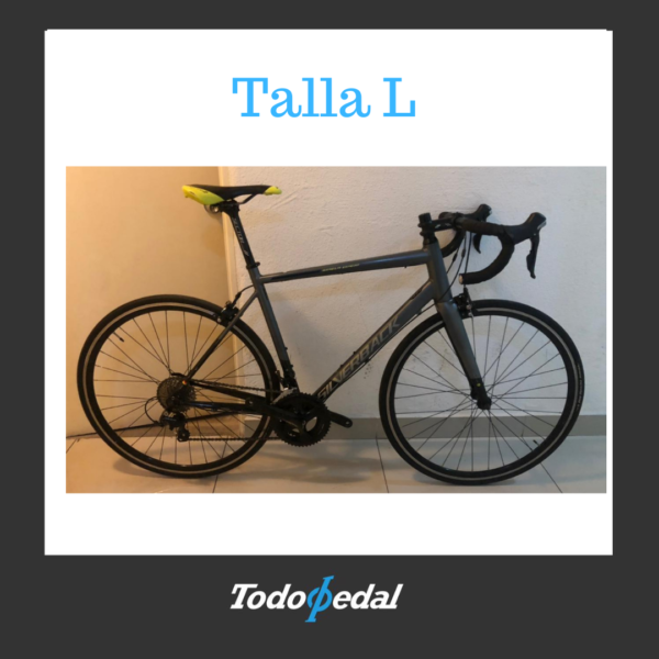 Silverback Strella Expert Talla L