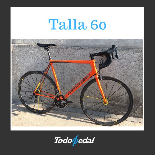 Cannondale supersixevo ballistic Talla 60