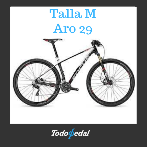 Focus Raven 29er Talla M