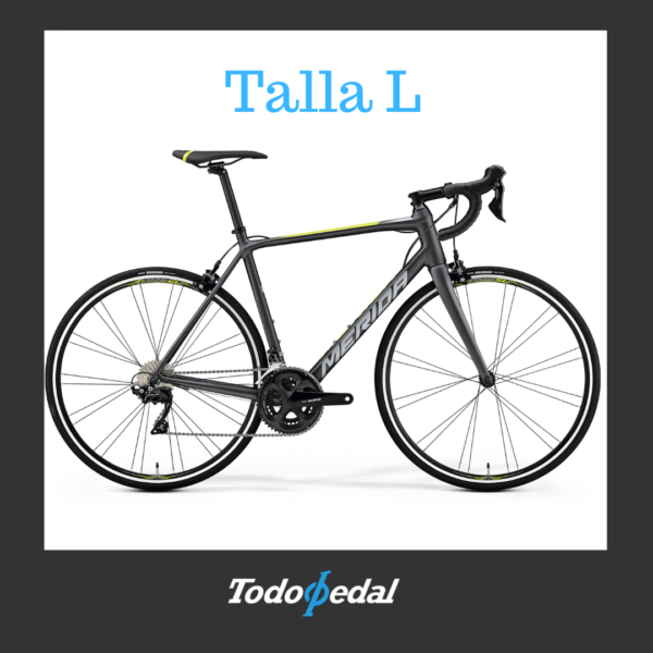Merida Scultura 400 Talla L