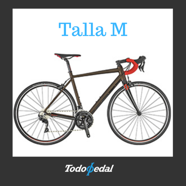 Scott Speedster 10 Talla M