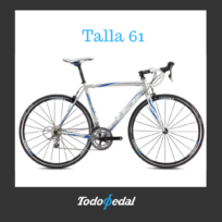 Roubaix 1.5 Talla 61