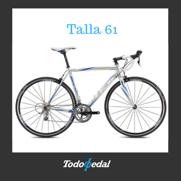 Roubaix 1.5 Talla 61