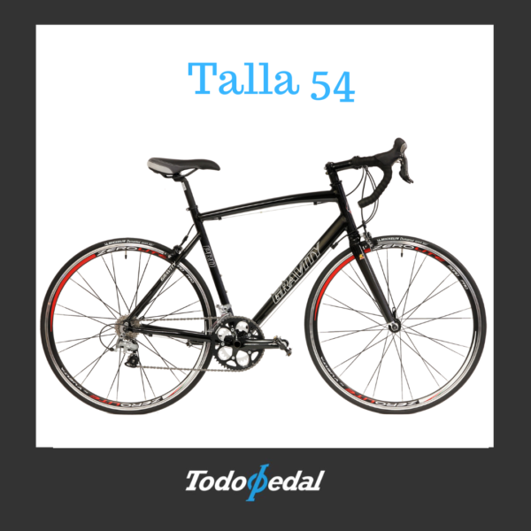Gravity Pro Talla 54