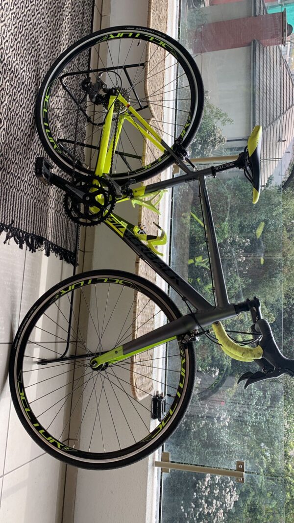 Silverback Strela Comp Talla S - Image 9