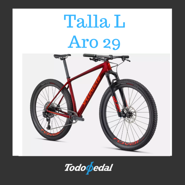 Specialized Epic Hardtail Expert Talla L