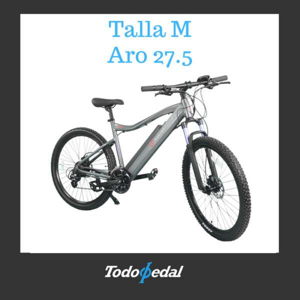 Fahren Skalar Talla M