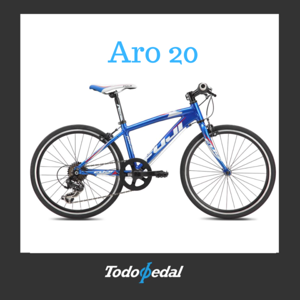 Fuji Ace Aro 20