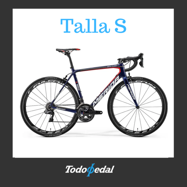 Merida Scultura Bahrain Talla S