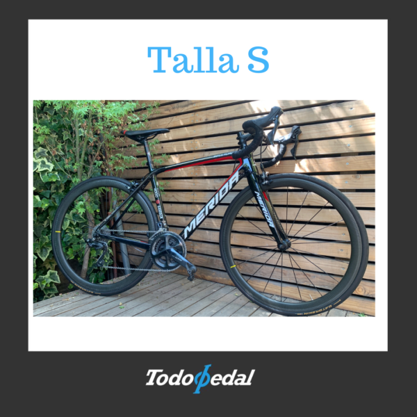 Merida Scultura 4000 Talla S