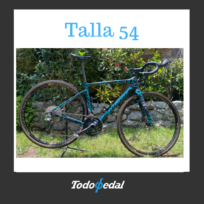 Specialized Diverge Talla 54