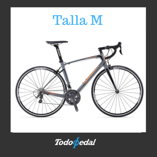 Giant Defy Composite 1 Talla M